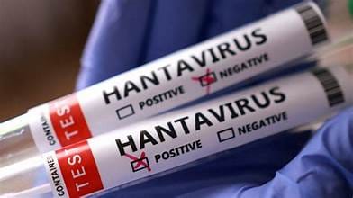 Waspada Hantavirus, Kemenkes Pastikan Belum Ada Penularan Antar Manusia di Indonesia